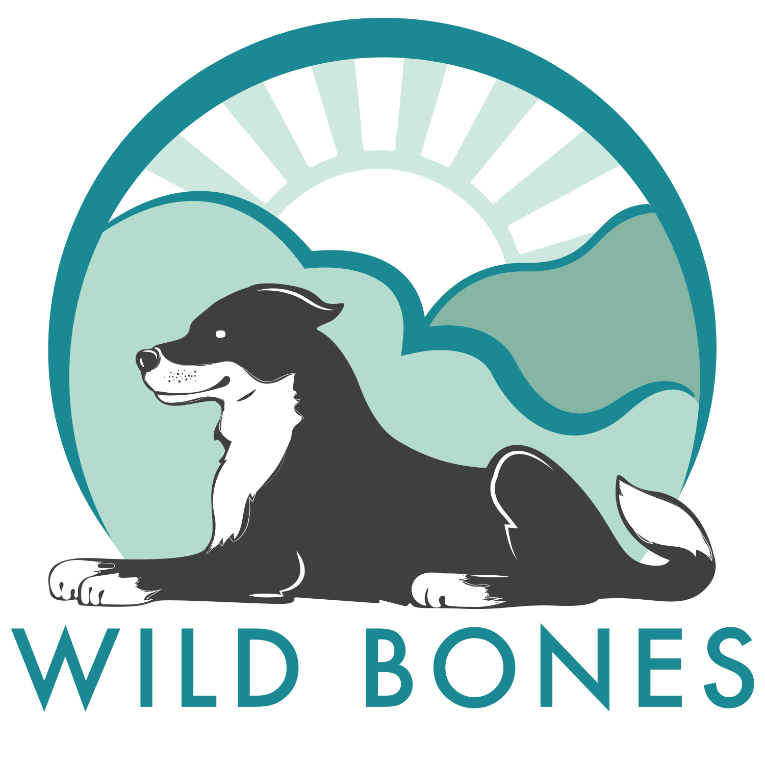                                                                                                                             Wild Bones Dog Grooming                                                                                                           